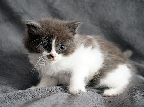 Qualypso am 28.05.2025